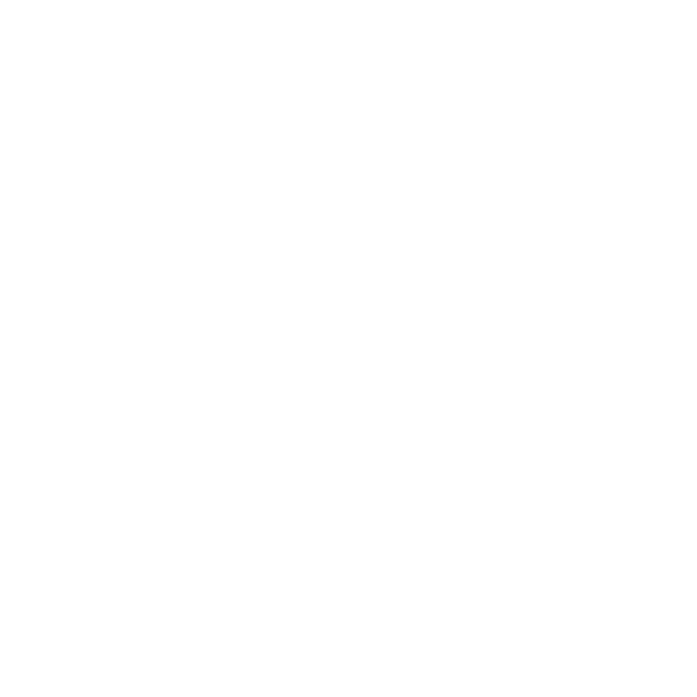 Daniele Fiesoli